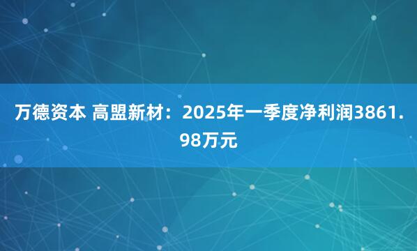 万德资本 高盟新材：2025年一季度净利润3861.98万元