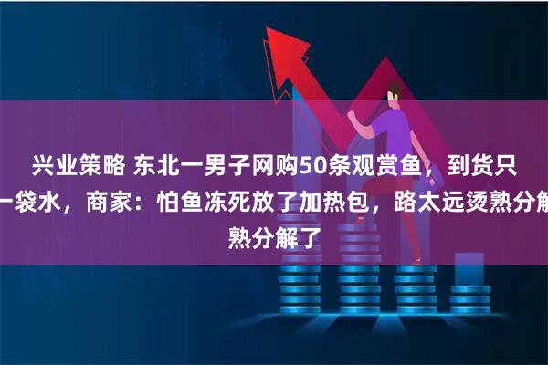 兴业策略 东北一男子网购50条观赏鱼，到货只有一袋水，商家：怕鱼冻死放了加热包，路太远烫熟分解了