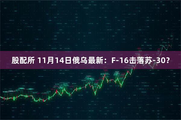 股配所 11月14日俄乌最新：F-16击落苏-30？