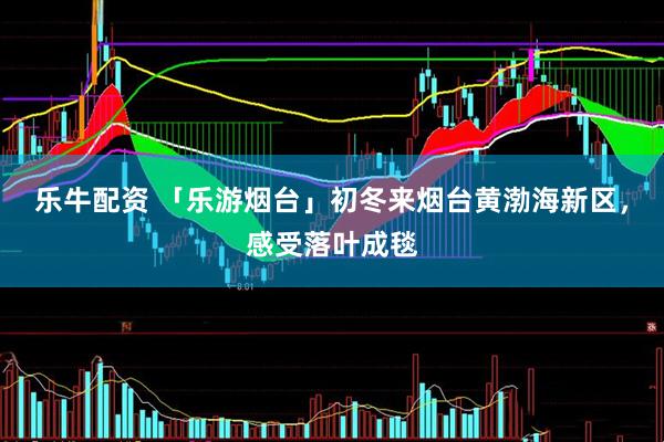 乐牛配资 「乐游烟台」初冬来烟台黄渤海新区，感受落叶成毯