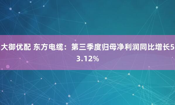 大御优配 东方电缆：第三季度归母净利润同比增长53.12%