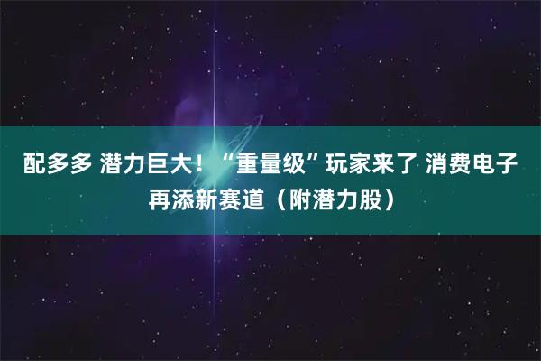 配多多 潜力巨大！“重量级”玩家来了 消费电子再添新赛道（附潜力股）